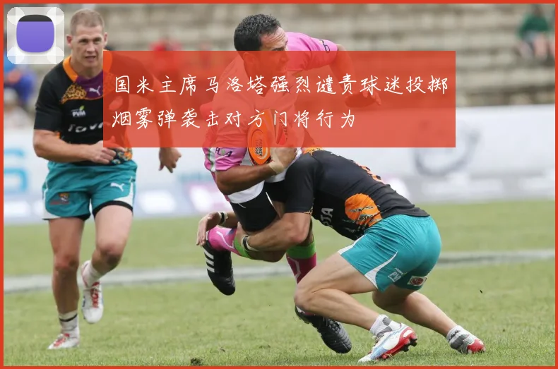国米主席马洛塔强烈谴责球迷投掷烟雾弹袭击对方门将行为